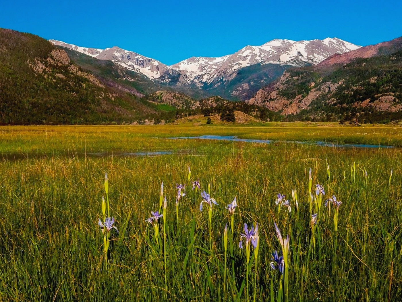 Mountain Acreage in Adams County